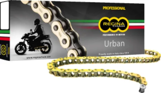 REGINA - CHAIN 520ORO GB 106C - 12200252