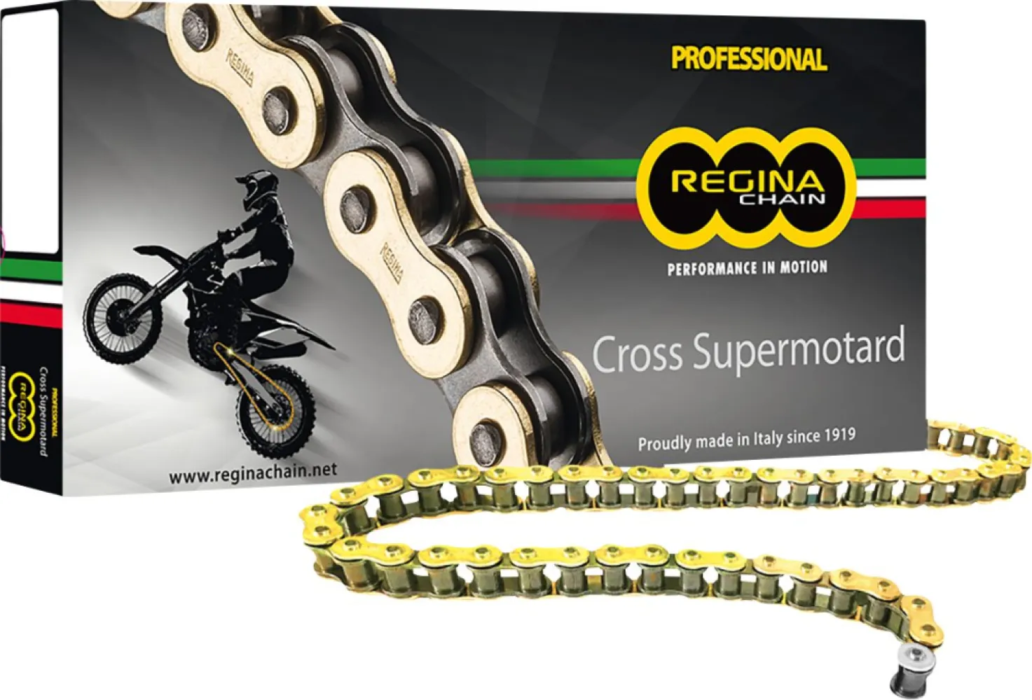 REGINA - CHAIN 520RH2 GB 106C - 12200312