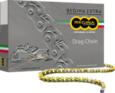 REGINA - CHAIN 530DR GB 160C+RS - 12210108