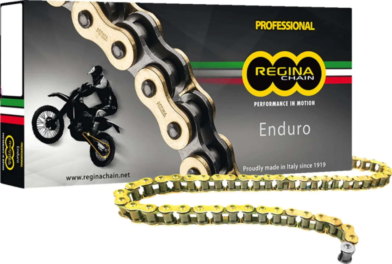 REGINA - CHAIN 520ZSE GB 118C+RS+RH - 12220577