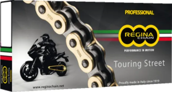 REGINA - CHAIN 520ZRT GB 110RS+RH - 12240116