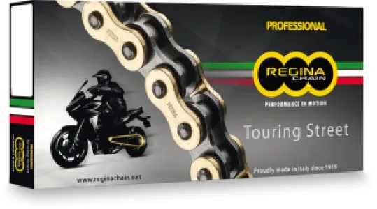 REGINA - CHAIN 520ZRT GB 110RS+RH - 12240116