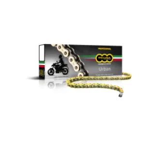 REGINA - CHAIN 520ZRE GB 108C+RS+RH - 12240120