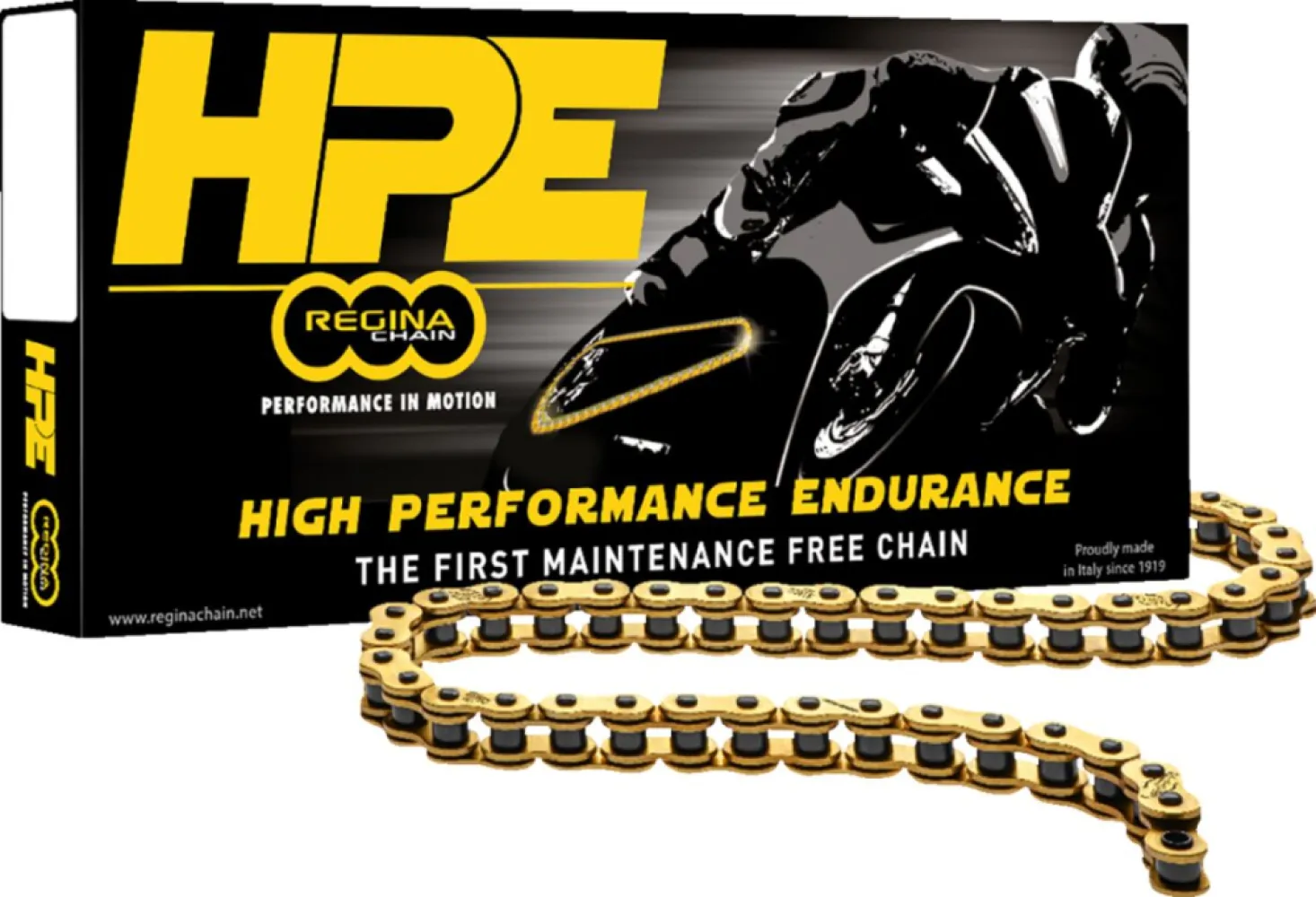 REGINA - CHAIN 525HPE GG 120RS - 12240231