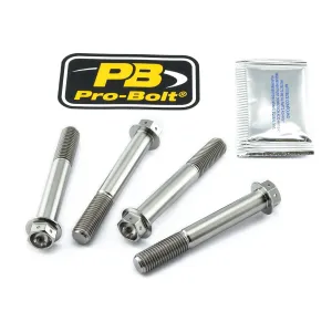 PRO BOLT - BOLT KIT FRONT BRAKE MOUNT TIT - 17020528