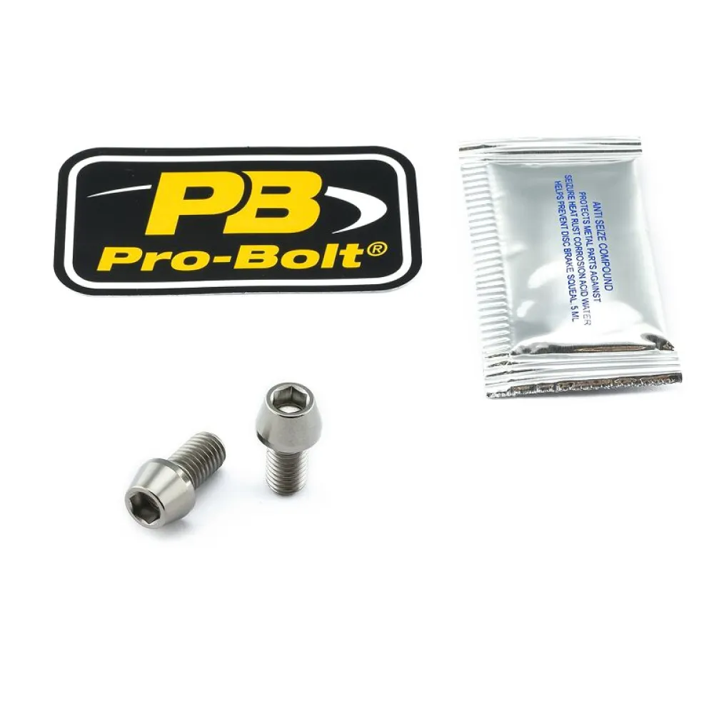 PRO BOLT - BOLT KIT REAR BRAKE MOUNT TIT - 17020569