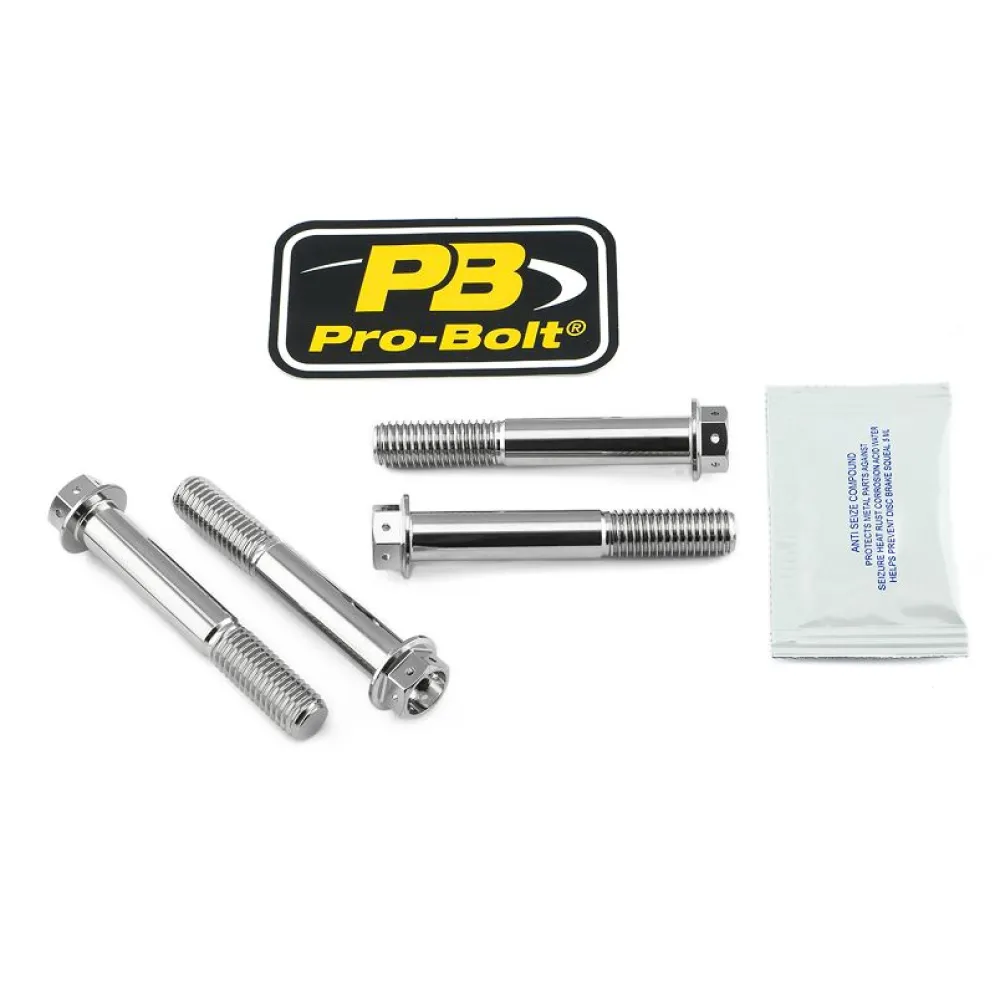 PRO BOLT - BOLT KIT FRONT BRAKE MOUNT SS - 17020635