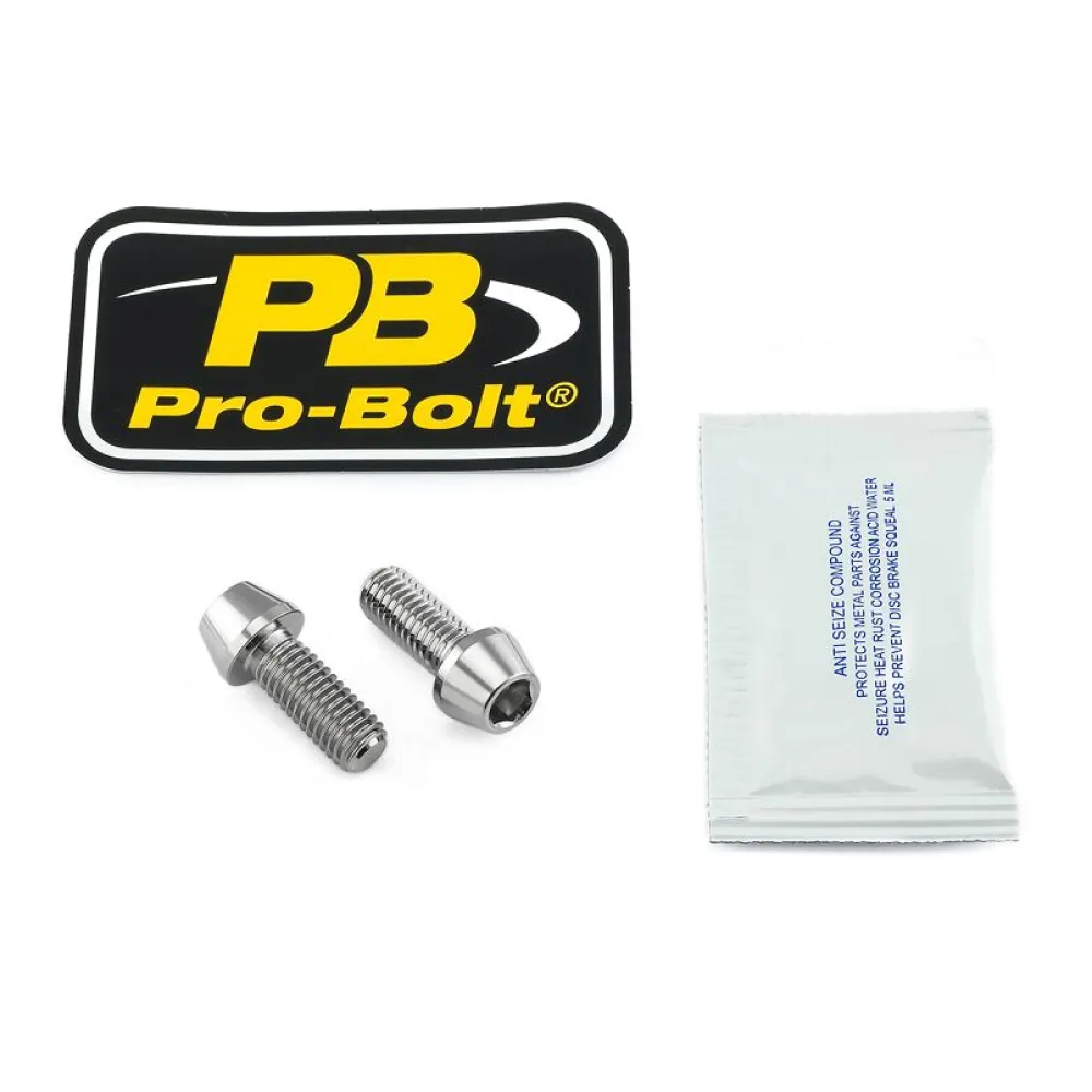 PRO BOLT - BOLT KIT REAR BRAKE MOUNT SS - 17020638