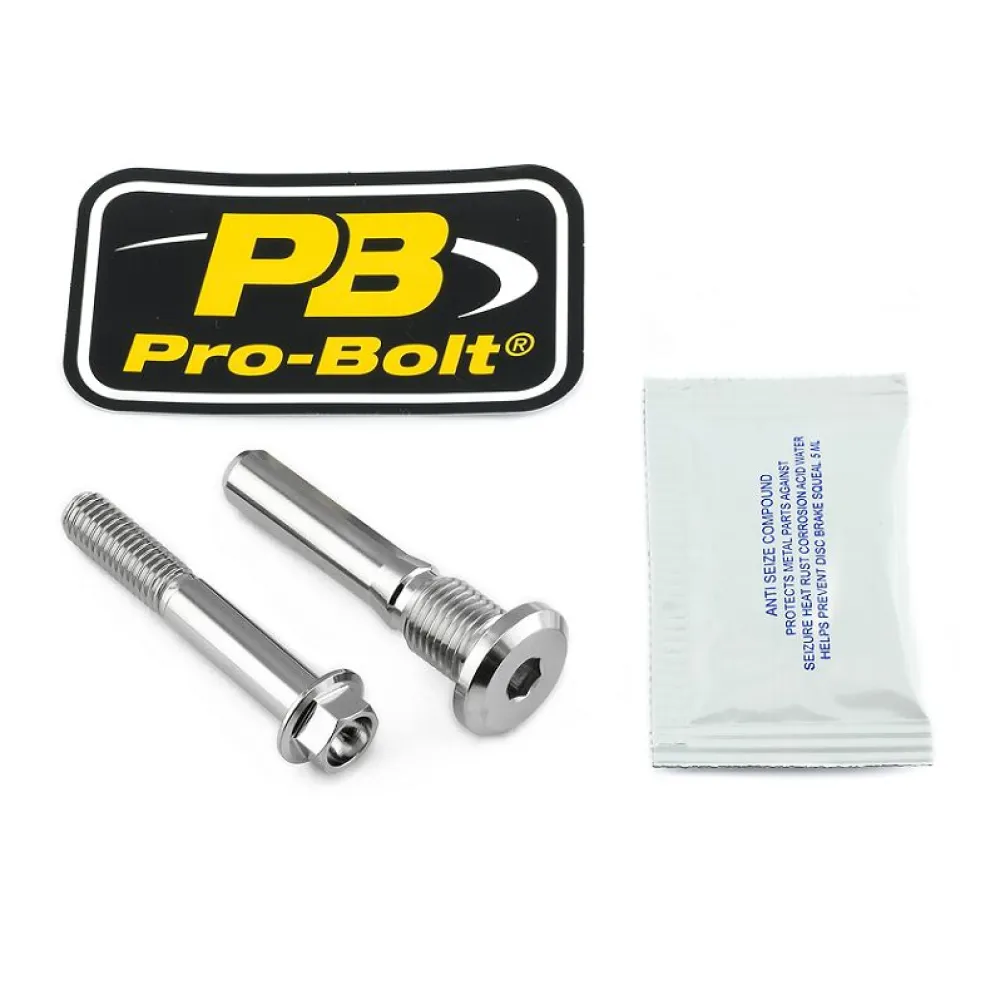 PRO BOLT - BOLT KIT REAR BRAKE MOUNT SS - 17020637