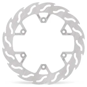 MOTO-MASTER - BRAKE DISC FLAME REAR - 17101181