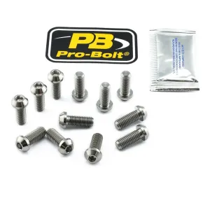 PRO BOLT - BOLT KIT BRAKE DISC TIT M8X20 - 17104121