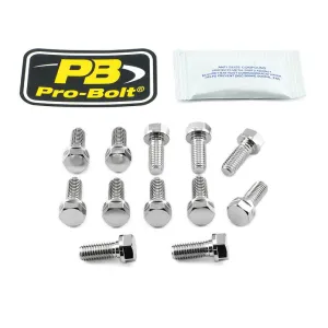 PRO BOLT - BOLT KIT BRAKE DISC SS M8X20 - 17104261
