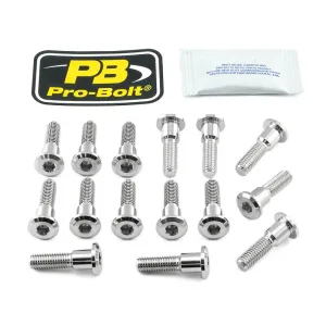 PRO BOLT - BOLT KIT BRAKE DISC SS SUZ - 17104264