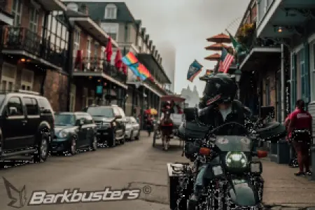 BARKBUSTERS - HANDGUARD BBZ - 06352243