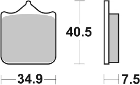 SBS - BRAKE PAD CARBON RACE - 17211625