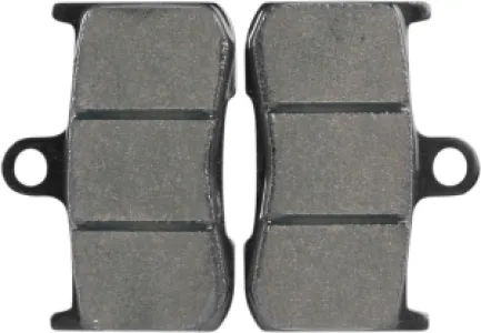 SBS - BRAKE PAD SINT FR - 17220674