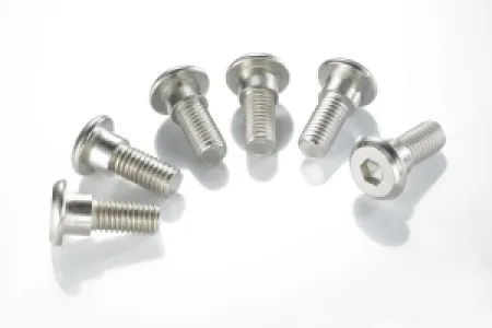 TRW - BRAKE ROTOR BOLTS - 17310571