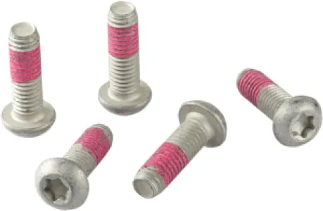 TRW - BRAKE ROTOR BOLTS - 17310575