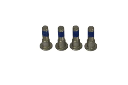 TRW - BRAKE ROTOR BOLTS - 17310696