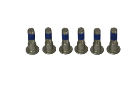 TRW - BRAKE ROTOR BOLTS - 17310697
