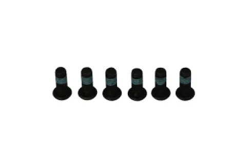 TRW - BRAKE ROTOR BOLTS - 17310699