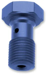 TRW - BANJO BOLT BLUE M10X1 25 - 17412431