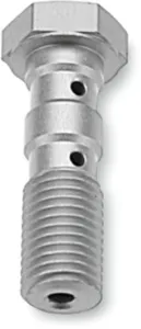 TRW - DOUBLE BANJO BOLT SIL M10X1 25 - 17412437
