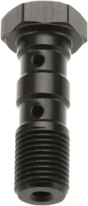 TRW - DOUBLE BANJO BOLT BLK M10X1 25 - 17412439