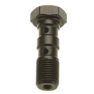 TRW - DOUBLE BANJO BOLT BLK M10X1 25 - 17412439