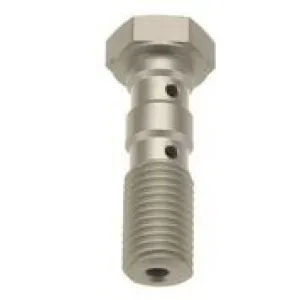 TRW - BANJO BOLT DBL M10x1.25 T - 17420575