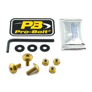 PRO BOLT - BOLT KIT LIC PLATE GOLD - 20301599