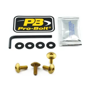 PRO BOLT - BOLT KIT LIC PLATE M6X16 GOLD - 20301609